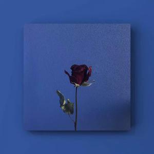 艾莲爆乳18禁🔞漫画
